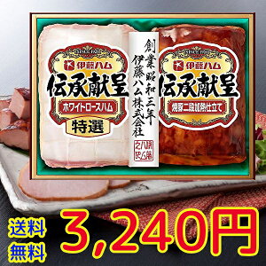 Ε遚~̑蕨@Mtgɓn`Mtg ①@n@Mtg@@`IGM-300