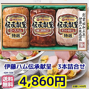 Ε遚~̑蕨@Mtgɓn`MtgIGM-508 ①