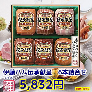 Ε遚~̑蕨ɓn`Mtg ①@n@Mtg`GM-65yΕ@n lߍ킹 Mtg Zbg  @ɓn nMtg@@z