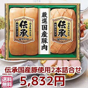 Ε遚~̑蕨@Mtg@ɓn@`Mtg@①ց@DKB-501
