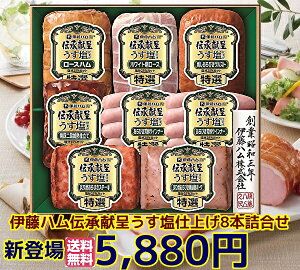 Ε遚~̑蕨@ɓn`悤nGMU-77@ lߍ킹 Mtg Zbg  @ɓn nMtg@@