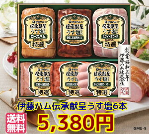  Ε遚~̑蕨ɓn`悤n25GMU5V@ ①@n@Mtg@@`yΕ@n lߍ킹 Mtg Zbg  @ɓn nMtg@@z