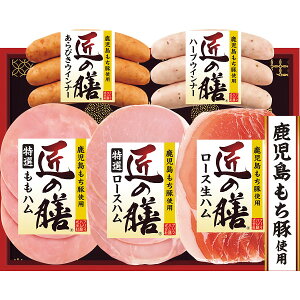 Ε遚~̑蕨@Mtgv}n@̑VMtgTZ|SH@①