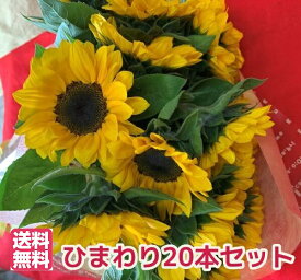 ★ひまわり20本　花　観葉食物★元気なひまわり花束　誕生日　記念日