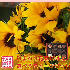 Ђ܂聚ԁCȂЂ܂10{ԑƑIׂ邨َq6@a@LO@ Mtg