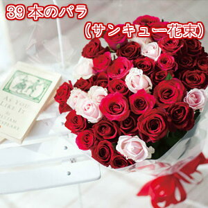 �����蕨�@�M�t�g���@�T���L���[�ԑ��i�o��39�{�j