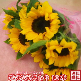 ★ひまわり花　観葉食物★元気なひまわり10本　花束　誕生日　記念日