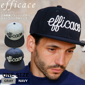 [2025AWV] St Xq ̎hJ StbgoCU[XibvobN Lbv [efficace] 2508-6879  I[V[Y t H~ Y fB[X jp t[TCY StEFA 