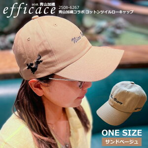 ʌ! St RDR{ Rbg cC [ Lbv jp [efficace] 2508-6267 Xq CAP jZbNX Lbv StEFA vSt@[ qv  \ ΗL 