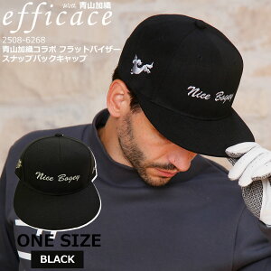 ʌ! St RD R{ tbgoCU[ XibvobN Lbv jp [efficace] 2508-6268 Xq  CAP jZbNX YLbv StEFA vSt@[ qv