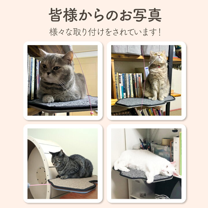 楽天市場】CAT-KICK 大型 ステップ 穴あけ不要 工具不要 賃貸OK 猫 
