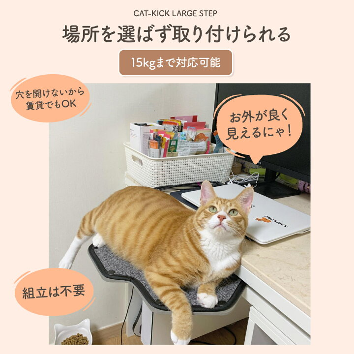 楽天市場】CAT-KICK 大型 ステップ 穴あけ不要 工具不要 賃貸OK 猫 