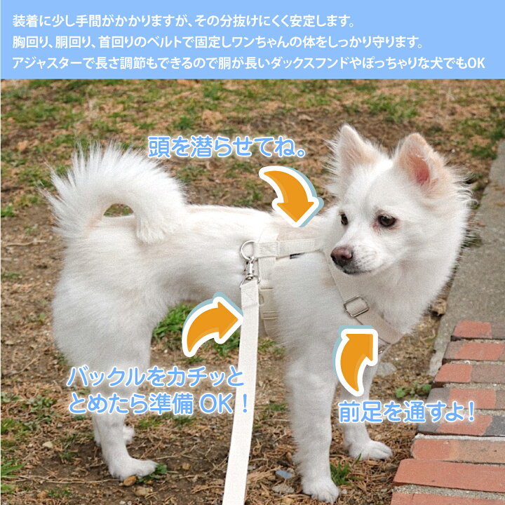 犬 ハーネス 胴輪 抜けない 抜けにくい 負担が少ない 超小型犬 小型犬 中型犬 大型犬 洗える 擦れない アウトドア 散歩 おしゃれ かわいい パステル 後ずさり 引っ張り防止 首に優しい シンプル/SPLOOT Hラインハーネス パステル EFGショップ 犬 ハーネス 胴輪 抜けない 抜けにくい 負担が少ない 超小型犬 小型犬 中型犬 大型犬 洗える 擦れない アウトドア 散歩 おしゃれ かわいい パステル 後ずさり 引っ張り防止 首に優しい シンプル SPLOOT Hラインハーネス パステル