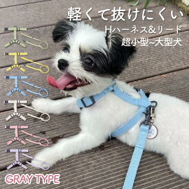 【セットでオトク！】 犬 リード ハーネス セット リード付きハーネス 超小型犬 小型犬 中型犬 大型犬 リードセット 引っ張り防止 抜けない 抜けにくい 洗える 擦れない 散歩 おしゃれ かわいい 後ずさり 首に優しい H型ハーネス リード グレー