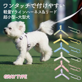 【セットでオトク！】 犬 リード ハーネス セット リード付ハーネス 着脱簡単 超小型犬 小型犬 中型犬 大型犬 引っ張り防止 抜けない 抜けにくい 負担が少ない 洗える 擦れない 散歩 おしゃれ かわいい /SPLOOT Y型ハーネス＆1.5mリード グレー