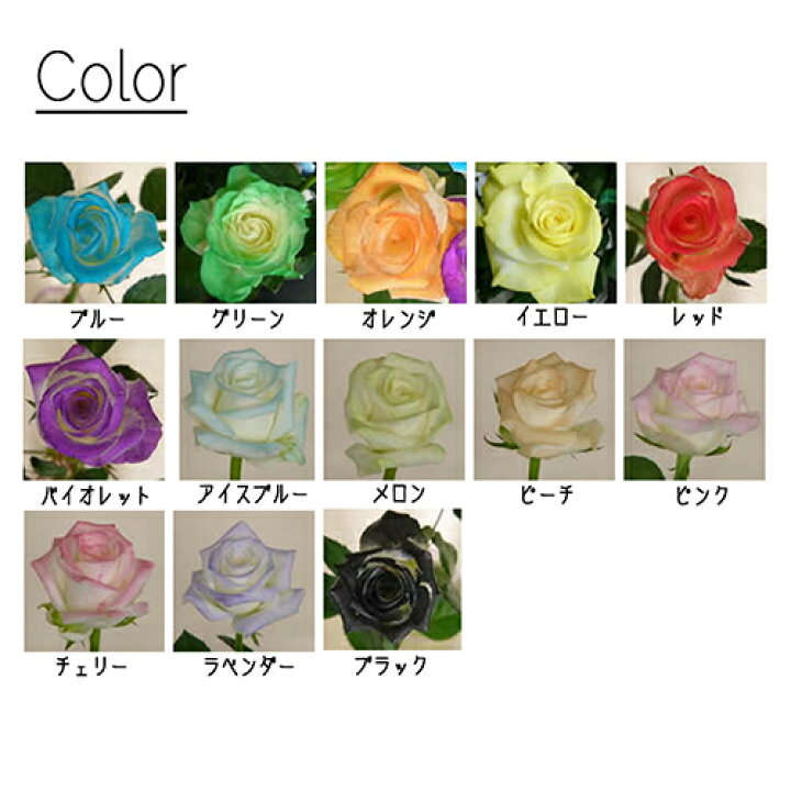 楽天市場 パレス化学 花用着色スプレー プランツカラー 詰め替え用 1l 生花 プリザーブドフラワー デコレーション フラワーアレンジ 植物 インテリア 染色 プレゼント パレス化 代引不可 おしゃれ農作業着専門店エフィルス