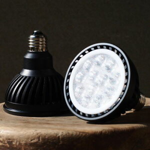 ApLEDCg PlantsNEXLIGHT ubN NL-PAR30-BC95 ϗtA |   v    _ _ _