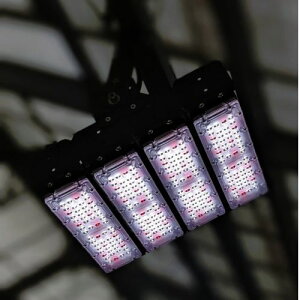 ApLEDCg PlantsNEXLIGHT POWER II F NL-P200-RW/W ϗtA |   v    _ _ _