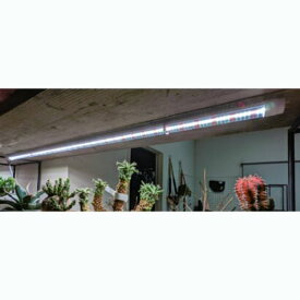 植物専用LEDライト PlantsNEXLIGHT TUBE 白色光 2本入 NL-T8-28-RW12/W 観葉植物 園芸 室内 屋内 ランプ おしゃれ 日光 日照 農園 農業 農作業