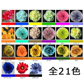 楽天市場 パレス化学 切花着色剤ファンタジー 100ml ロイヤルブルー 切り花 着色 レインボー フラワー アレンジ 切り花着色剤 植物 染色 染色液 園芸 観葉植物 ガーデニング プリザーブド ドライフラワー 押し花 手作り ワークショップ ハーバリウム 染める 自由研究