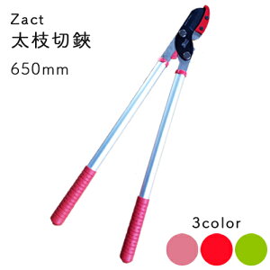 Zact UNg } ANG-650 S650 S3F }؂͂ } }͂ ΂  荞  K[fjO y _    }ؗp y y Ar