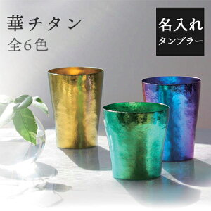  zG `^ 2d^u[ ؃`^ S6F HORIE O r[  `^Jbv Rbv OX ۗ ۉ ̓ hV̓ v[g Mtg{bNX 蕨 j 