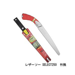 U[\[ SELECT250 | i 162 U[\[H ʒ Gyokucho  mRM n AEghA H  ؒf ؖQ OyD