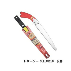 U[\[ SELECT250 g i 163 U[\[H ʒ Gyokucho  mRM n AEghA H  ؒf ؖQ OyD