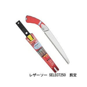 U[\[ SELECT250  i 165 U[\[H ʒ Gyokucho  mRM n AEghA H  ؒf ؖQ OyD
