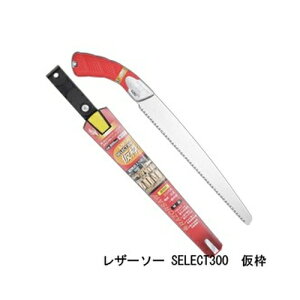 U[\[ SELECT300 g i 173 U[\[H ʒ Gyokucho  mRM n AEghA H  ؒf ؖQ OyD