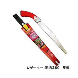 U[\[ SELECT300 ʎ i 176 U[\[H ʒ Gyokucho  mRM n AEghA H  ؒf ؖQ OyD
