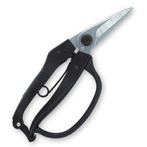 Kamaki J}L No.Z-21K K[ht } Xg|g^Cv S 210mm nT~   ؒf n OyD