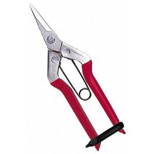 XeXE T-500S BP ߐ S 170mm n 35mm { | ʎ  n E K Z^[o