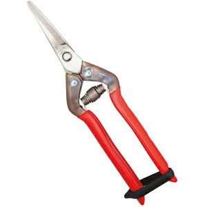 I[XeX n Ȑn T-55SR ߐ S 195mm n 45mm { | t ɂɂ n K Z^[o