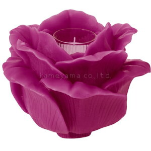 Lh POiNT A LA LiGNE O[CO[YL L2246117 J} 1P a260×H180mm t[V 163-2246117-0 X^h XC K Z^[o