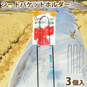 V[hpPbgz_[ 3 No.601    Ax ƒ؉ ؉  | _ _ _ K[fjO O[K[f ы KD