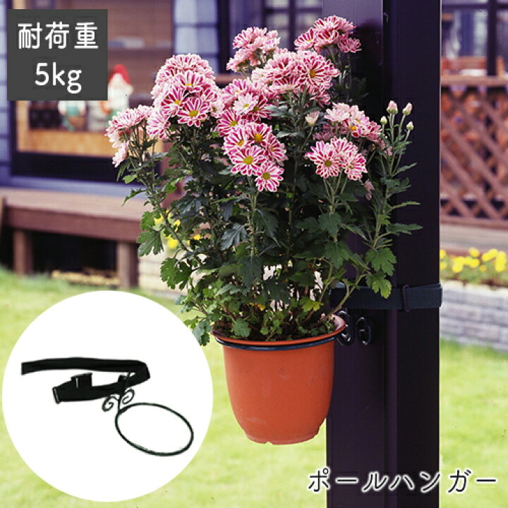 楽天市場 ポールハンガー リング ハンマートン No 272a 日本製 Greengarden グリーンガーデン 小林金物 ガーデニング ポットスタンド ハンギング 花 園芸 インテリア 鉢 玄関 室内 インドア 庭 国産 小kd おしゃれ農作業着専門店エフィルス 楽天市場 ポールハンガー リング ハンマートン No 272a 日本製 Greengarden グリーンガーデン 小林金物 ガーデニング ポットスタンド ハンギング 花 園芸 インテリア 鉢 玄関 室内 インドア 庭 国産 小kd おしゃれ農作業着専門店エフィルス