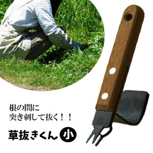 G   No.451 { GREENGARDEN O[K[f ы K[fjO  _ ؉ |  Y