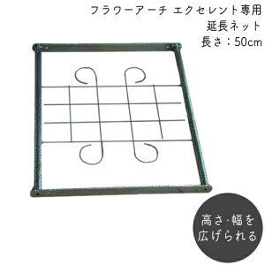 t[A[` GNZgplbg 50L No.214 { oA[` K[fA[`  K[fjO p[S |  t[AW [Y KN  eBX v  