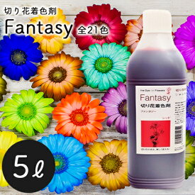 パレス化学 切花着色剤ファンタジー 5L 茎 生花 ディスプレイ デコレーション フラワーアレンジ 植物 染色 染色液 園芸 ガーデニング 自由研究 実験 プリザーブド 手作り DIY ハーバリウム 染める パレス化 代引不可