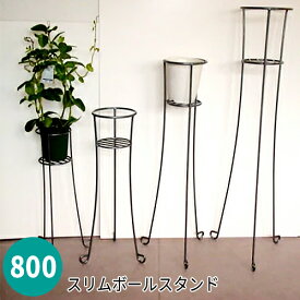 すべての美しい花の画像 これまでで最高の観葉 植物 スタンド