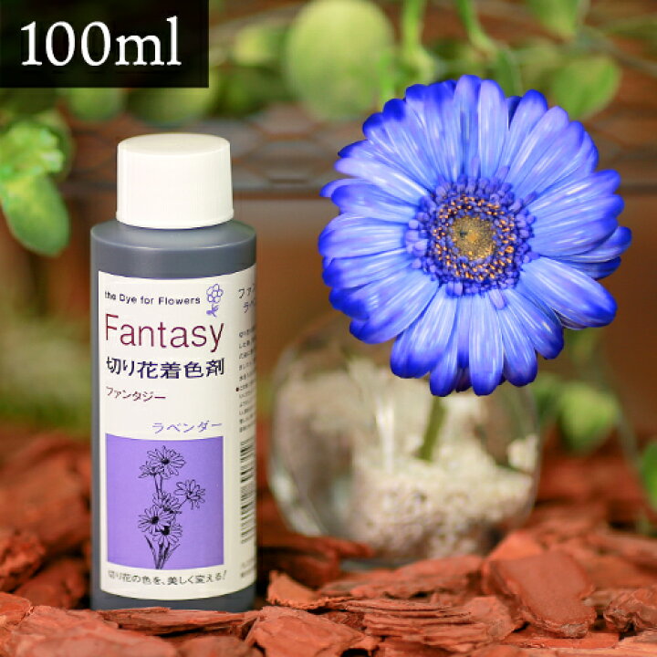 楽天市場 パレス化学 切花着色剤ファンタジー 100ml ラベンダー 切り花 着色 レインボー フラワー アレンジ 切り花着色剤 植物 染色 染色液 園芸 観葉植物 ガーデニング プリザーブド ドライフラワー 押し花 手作り Diy ワークショップ ハーバリウム 染める 自由研究
