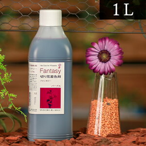 pXw ؉ԒF܃t@^W[ 1L p[v s  fBXvC fR[V t[AW A F Ft | K[fjO R  vU[uh  DIY Ce