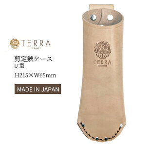 TERRA e P[X U^ TR-06 kv { Y vX^[ K[fjO U[ c[P[X nT~P[X [ |  v[g Mtg _ƒ _ vSD