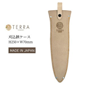 TERRA e P[X TR-10 kv { Y vX^[ K[fjO U[ c[P[X nT~P[X [ |  v[g Mtg _ƒ _ vSD