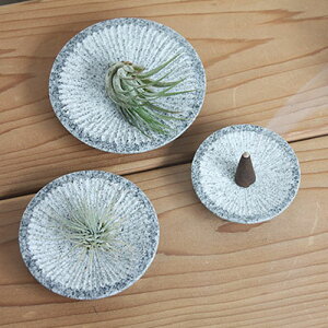 AJI PROJECT BLOSSOM ubT S M LTCY  A GAvc GA[vc RP  󂯎M CeA  Z