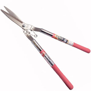 hEJ G Ub\[L^ sN bLH 0129  nT~ K[fjO  |   fB[X  OyD