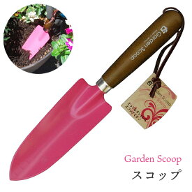 楽天市場 みきかじや村 Gardenの通販 楽天市場 みきかじや村 Gardenの通販