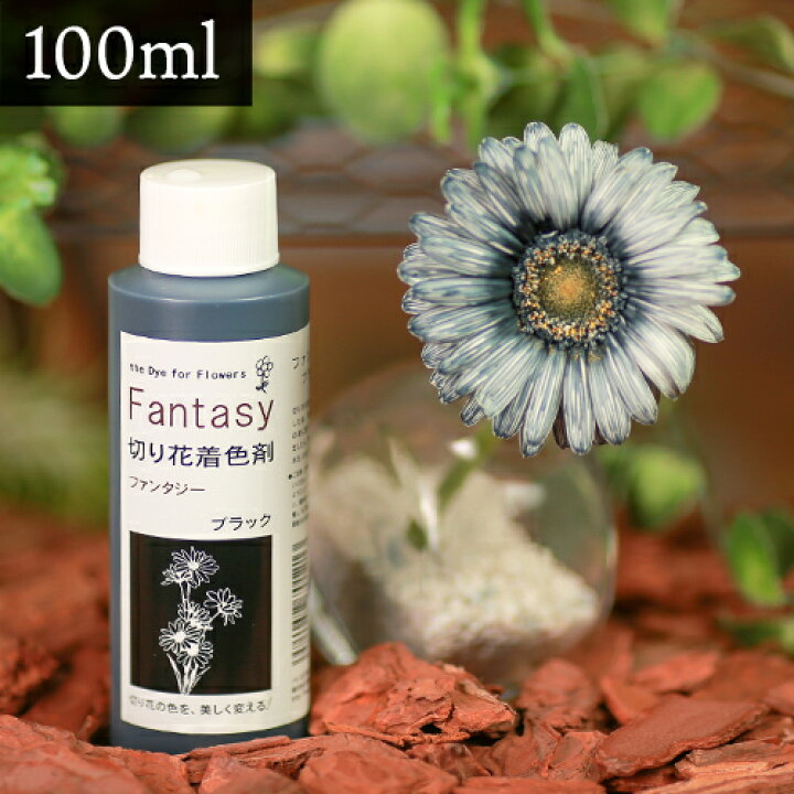 楽天市場 パレス化学 切花着色剤ファンタジー 100ml ブラック 切り花 着色 レインボー フラワー アレンジ 切り花着色剤 植物 染色 染色液 園芸 観葉植物 ガーデニング プリザーブド ドライフラワー 押し花 手作り Diy ワークショップ ハーバリウム 染める 自由研究 実験 楽天市場 パレス化学 切花着色剤ファンタジー 100ml ブラック 切り花 着色 レインボー フラワー アレンジ 切り花着色剤 植物 染色 染色液 園芸 観葉植物 ガーデニング プリザーブド ドライフラワー 押し花 手作り Diy ワークショップ ハーバリウム 染める 自由研究 実験