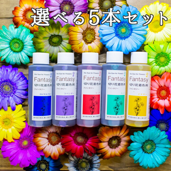 楽天市場 切花着色剤ファンタジー 100ml お得な選べる５本セット パレス化学 生花 切り花 着色 切り花着色剤 レインボー フラワー アレンジ 植物 染色 染色液 染色剤 加工液 園芸 観葉植物 ガーデニング プリザーブド ドライフラワー 押し花 手作り 染める パレス化 代引